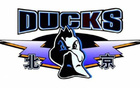京隊(duì)季后賽命中率超五成，三分效率高，搶前場(chǎng)籃板20+。