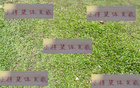 中超第12輪，年輕球員大放異彩，劉誠(chéng)宇連進(jìn)兩球助申花。