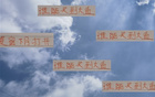 大魚浮頭，夏窗中超購(gòu)人潮，申花南多，前海港奇塔。