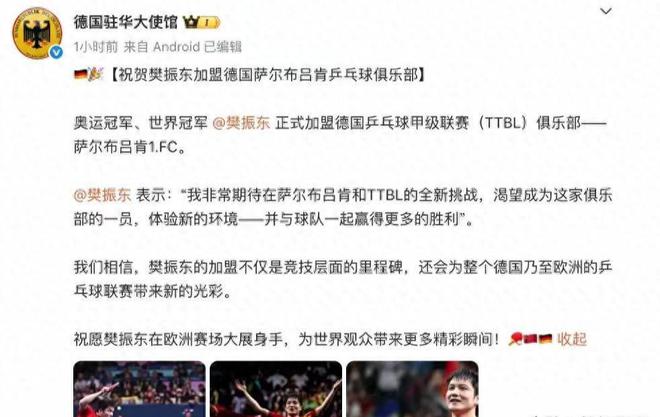 樊振東德甲6天，三大益處顯，俱樂部贊其瘋狂。
