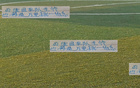 申花老將，大場(chǎng)面經(jīng)驗(yàn)豐富，曾發(fā)掘厄德高，再探米內(nèi)羅。