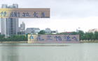 深圳戰(zhàn)敗，賠兵折將，申花蘭帕德、特謝拉顯神勇。