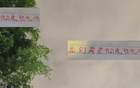 萊納多進(jìn)50球，不歸化恐?jǐn)●R來西亞。