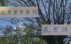 古加身價高，北京國安之最，能否成海港奧斯卡？