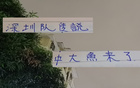 中超29輪，申花戰(zhàn)深圳挑戰(zhàn)大，新英超射手助陣。