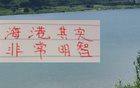 海港明智，無奧斯卡仍爭前四；山東艱難，缺費(fèi)萊尼。
