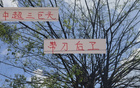 中超三巨頭現(xiàn)役，誰為真刀鋒？海港張琳芃，申花蔣圣龍。