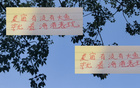 深圳申花等隊(duì)引外援國(guó)腳，夏窗期待海港大魚。
