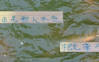 申花新星赤道幾內(nèi)亞表現(xiàn)佳，張玉寧國足地位比肩，實(shí)力非水貨。