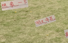 海港帥氣足，申花輸球想象。
