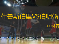 什魯斯伯里VS伯明翰