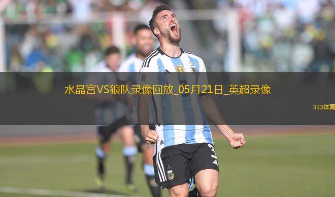 英超第37輪水晶宮4-2狼隊