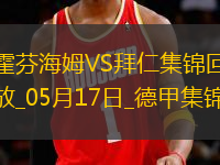 05月17日德甲第34輪霍芬海姆vs拜仁慕尼黑進球視頻