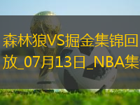 07月13日NBA夏季聯(lián)賽 森林狼 - 掘金 精彩鏡頭