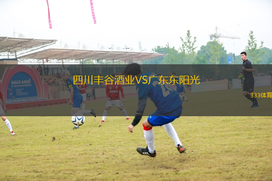 四川豐谷酒業(yè)VS廣東東陽光