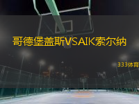 哥德堡蓋斯VSAIK索爾納