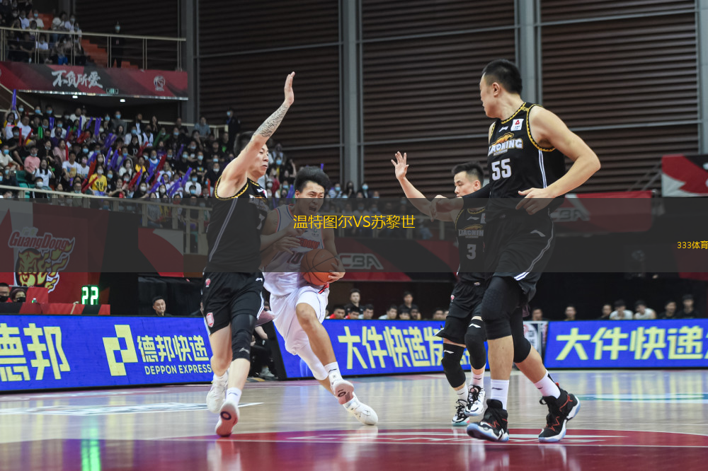 溫特圖爾VS蘇黎世
