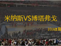 米納斯VS博塔弗戈