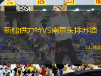 新疆伊力特VS南京頭排蘇酒