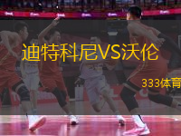 迪特科尼VS沃倫