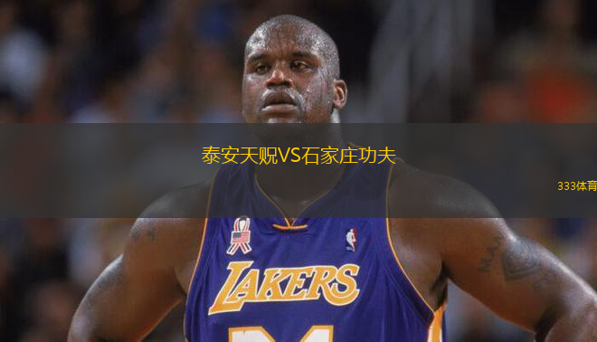 泰安天貺VS石家莊功夫