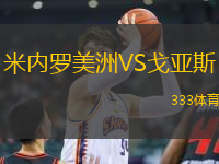 米內(nèi)羅美洲VS戈亞斯