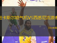 紐卡斯?fàn)枃姎鈾CVS西悉尼流浪者
