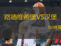 路德維希堡VS漢堡