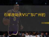 石家莊功夫VS廣東廣州豹