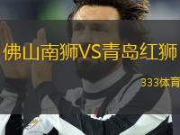 佛山南獅VS青島紅獅