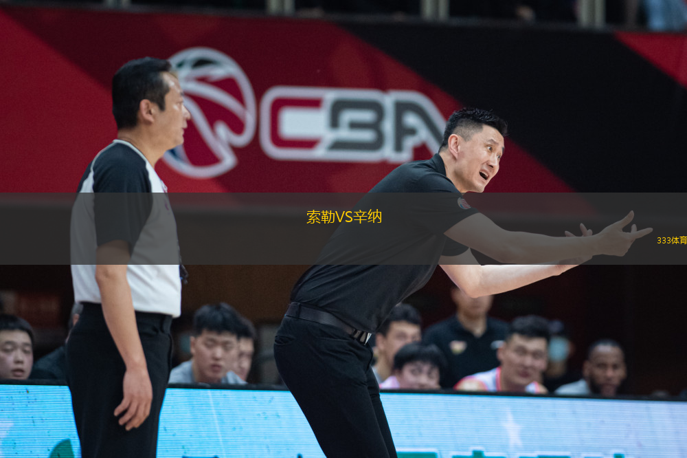 索勒VS辛納
