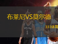 布萊尼VS莫爾德