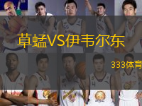 草蜢VS伊韋爾東
