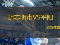 胡志明市VS平陽