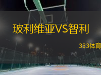 玻利維亞VS智利