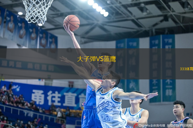 大子彈VS藍(lán)鷹