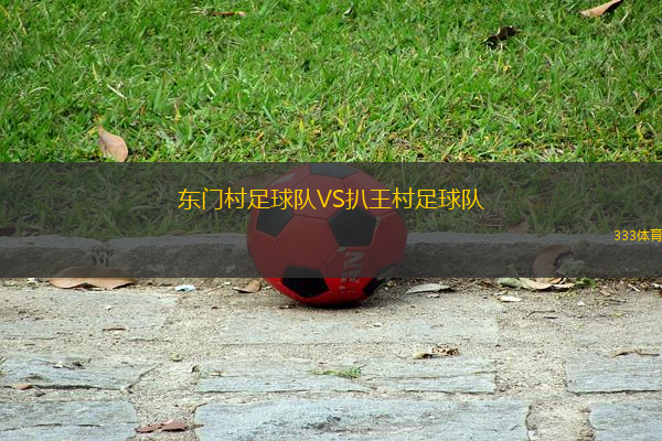 東門村足球隊VS扒王村足球隊