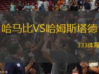 哈馬比VS哈姆斯塔德