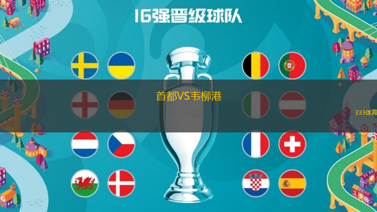 首都VS韋柳港
