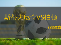 斯蒂夫尼奇VS伯頓