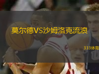 莫爾德VS沙姆洛克流浪