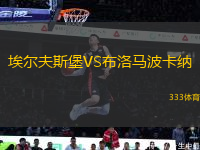 埃爾夫斯堡VS布洛馬波卡納