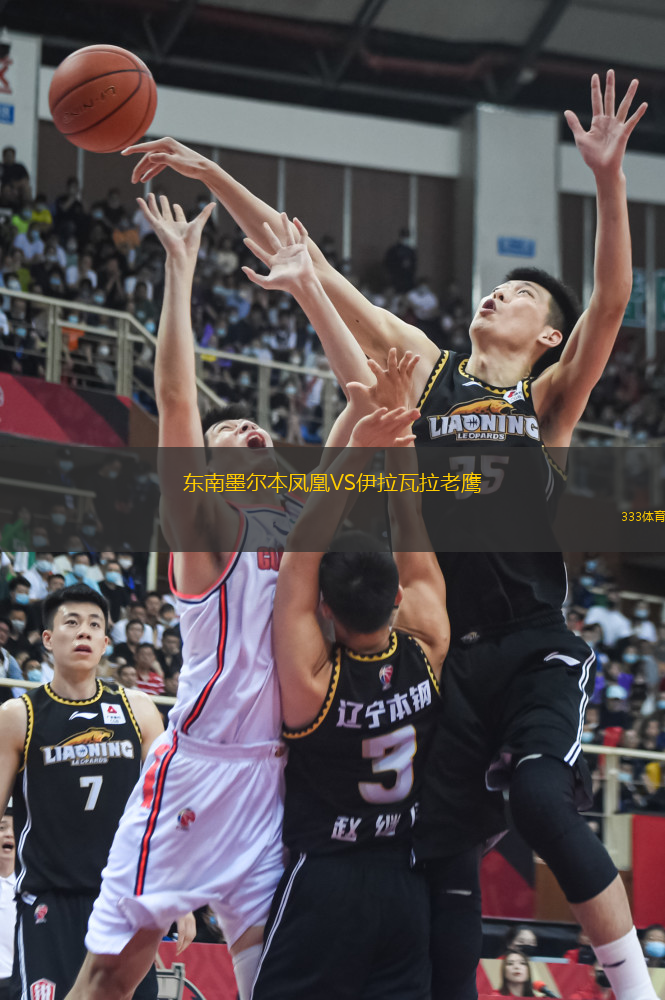 東南墨爾本鳳凰VS伊拉瓦拉老鷹