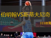 伯明翰VS斯蒂夫尼奇