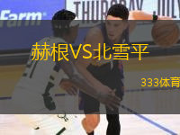 赫根VS北雪平