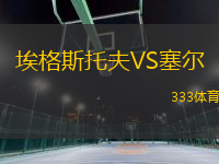 埃格斯托夫VS塞爾