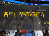 普里什蒂納VS伊犁