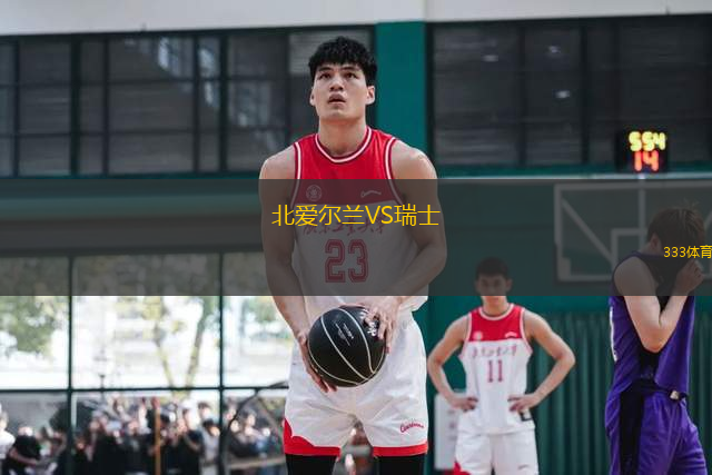 北愛(ài)爾蘭VS瑞士