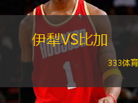 伊犁VS比加