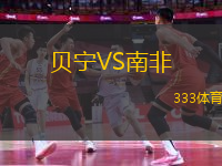貝寧VS南非